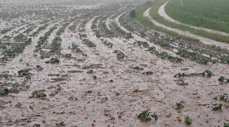 ÖHV Unwetter Völkermarkt