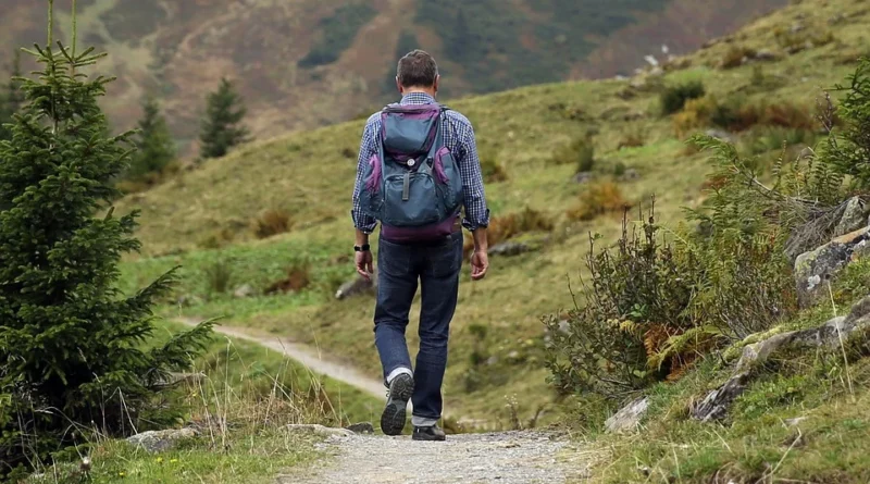 Almweg Wandern