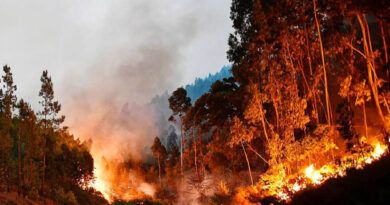 Klagenfurt Waldbrandgefahr