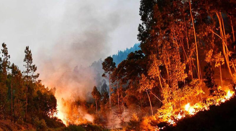 Klagenfurt Waldbrandgefahr