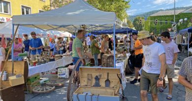 Spittal Sommermarkt Flohmarkt