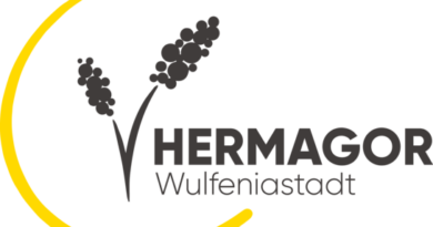 Hermagor_Wulfeniastadt