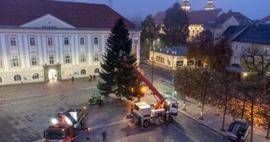 Klagenfurt_Christbaum