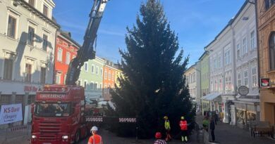 villach_weihnachtsbaum