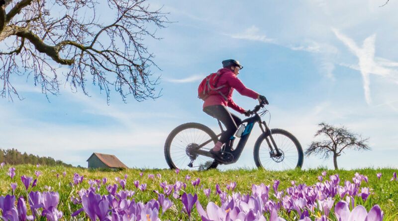 Klagenfurter Sportfrühling