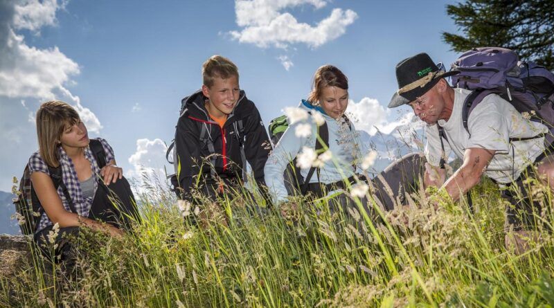 Kräuterkunde Kräuterwanderung Heiligenblut