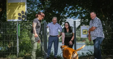 Villach: Hundestrand - freier Seezugang für Hunde