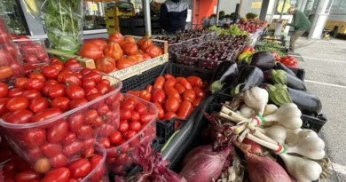 Villacher Wochenmarkt Marktkirchtag 1