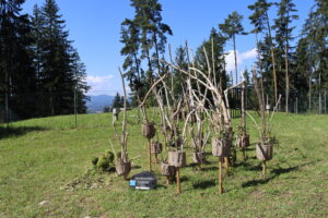 Landart_Rundwanderweg_12