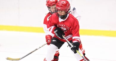 Zweite Eishalle für Ferlach Eishockey Kinder