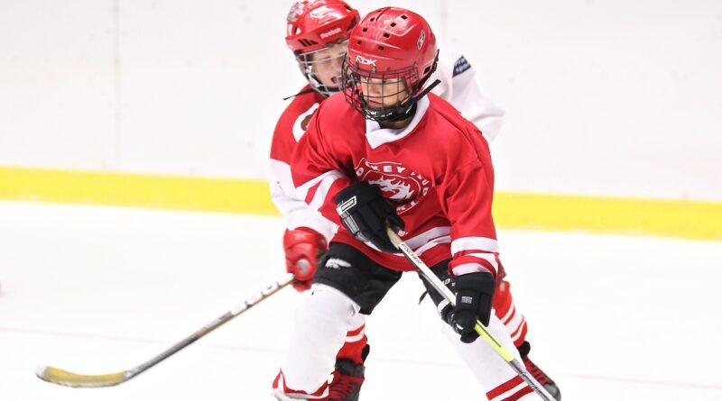 Zweite Eishalle für Ferlach Eishockey Kinder