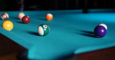 In den letzten fünf Tagen fanden in Klagenfurt die Billard-Weltmeisterschaften statt: Im Sportpark Klagenfurt duellierten sich dabei Sportler aus verschiedenen Ländern und Altersgruppen