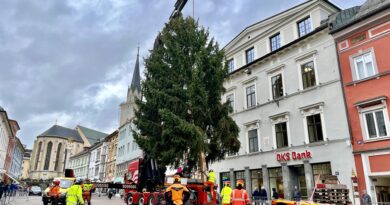 Die Vorbereitungen für die Adventszeit laufen auf Hochtouren: In Villach wurde heute ein 20 Meter hoher Weihnachtsbaum aufgestellt