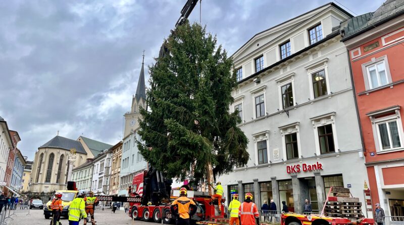 Die Vorbereitungen für die Adventszeit laufen auf Hochtouren: In Villach wurde heute ein 20 Meter hoher Weihnachtsbaum aufgestellt