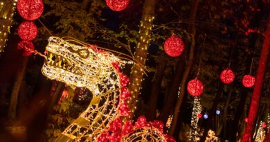 Beleuchtete Fabelwesen und funkelnde Tiere: Nächsten Donnerstag öffnet der zauberhafte Lichterpark der Domäne Lilienberg wieder seine Pforten 