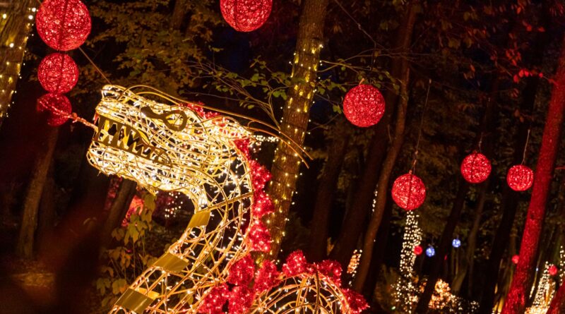 Beleuchtete Fabelwesen und funkelnde Tiere: Nächsten Donnerstag öffnet der zauberhafte Lichterpark der Domäne Lilienberg wieder seine Pforten 