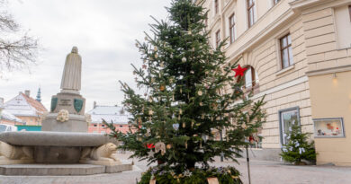 Auch heuer steht der Baum der Erinnerung wieder am Dr.-Arthur-Lemisch-Platz in der Klagenfurter Innenstadt. Ein ergreifendes Projekt, welches vom Verein Wandelstern ins Leben gerufen wurde