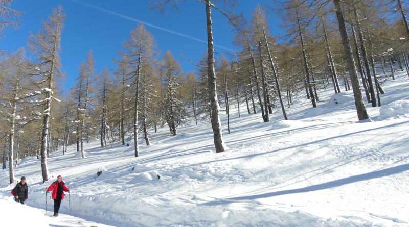 Unterwegs zur Pritzhütte am Katschberg. Blauer Himmel, kein mühsames Bergauf, die Landschaft tief verschneit: So macht Winterwandern Spaß.