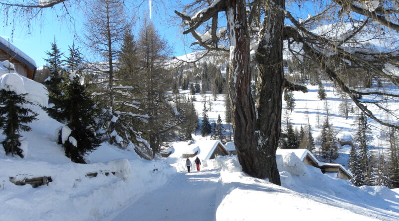 Das Ziel hat man nach knappe einer Stunde Gehzeit vor Augen: Die Pritzhütte im Gontal ist in der Wintersaison von Dezember bis Ostern bewirtschaftet.