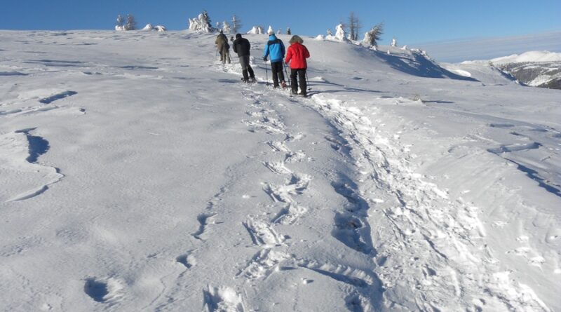 Ob Wanderung oder Schneeschuhtour: Die Gerlitzen Alpe bietet herrliche Naturerlebnisse abseits der Pisten.