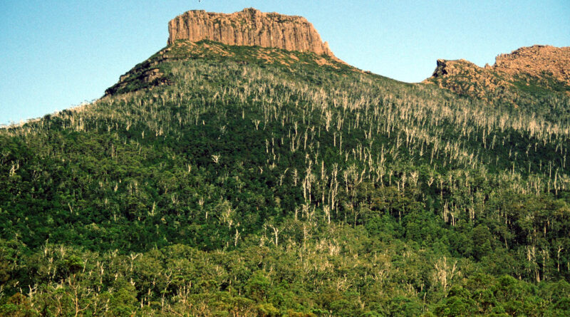 Overland Track. Ein Kärntner als Naturschutz-Pionier in Australien Stefan Spath, kaerntenportal.at