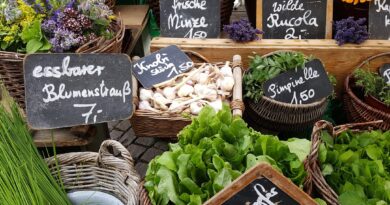 Bürgerbeteiligung beim josefsmarkt in Villach