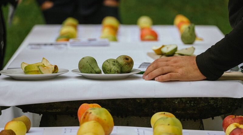 Streuobstfest im Dinzlpark in Villach. Am 4. Oktober kann man wieder seine Apfel- und Birnensorten am Streuobsttag bestimmen lassen.