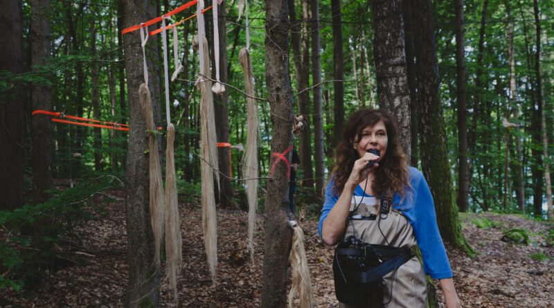 Naturgeister im Wald: Eine Reise durch eine verwundete Landschaft