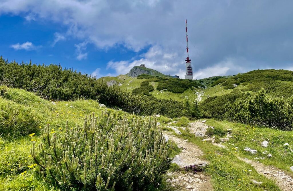 Am 10. August wird das traditionelle Alpenfeuer auf dem Dobratsch entzündet, um auf die Problematik der Lichtverschmutzung aufmerksam zu machen