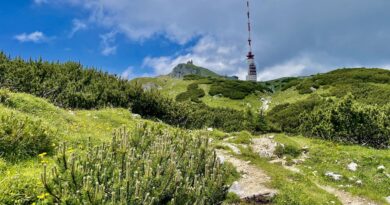 Am 10. August wird das traditionelle Alpenfeuer auf dem Dobratsch entzündet, um auf die Problematik der Lichtverschmutzung aufmerksam zu machen