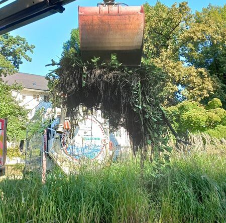 Das Stadtgrün-Team hat mit der Arbeit für das neue Sandarium begonnen.