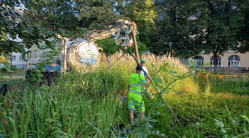 Das Stadtgrün-Team hat mit der Arbeit für das neue Sandarium begonnen.