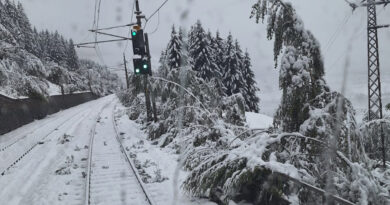 ÖBB-Verkehrsmeldung: Extremwetter sorgt für Streckenunterbrechungen. Bäume hängen in Oberleitung.