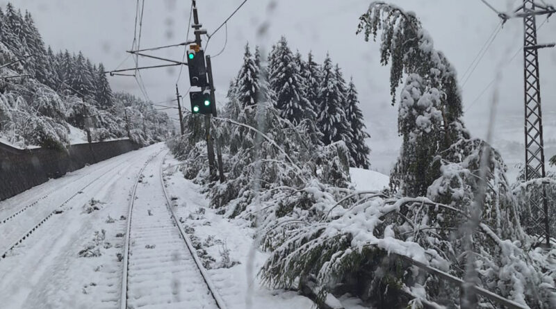 ÖBB-Verkehrsmeldung: Extremwetter sorgt für Streckenunterbrechungen. Bäume hängen in Oberleitung.