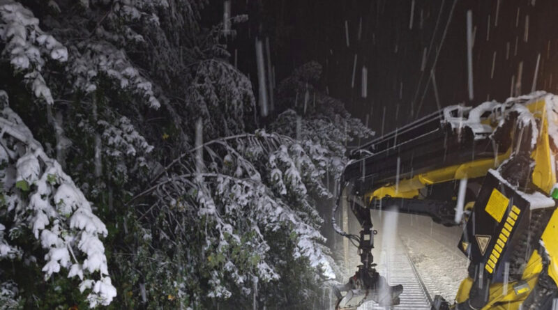 ÖBB-Verkehrsmeldung: Extremwetter sorgt für Streckenunterbrechungen. Bäume hängen in Oberleitung.