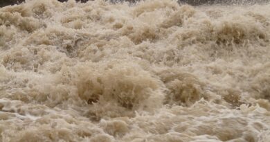 Hochwasser in Niederösterreich: Kärnten hilft