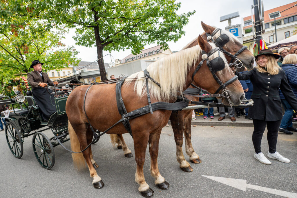 Erntedankfest am Benediktinermarkt