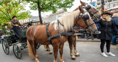 Erntedankfest in Klagenfurt: Pferdekutsche mit Erntedankkrone am Benediktinerplatz. Foto aus dem Jahr 2023.