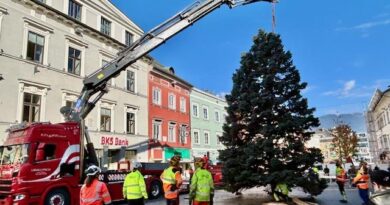 Die Vorbereitungen für die Adventszeit laufen auf Hochtouren: In Villach wurde ein 16 Meter hoher Weihnachtsbaum aufgestellt