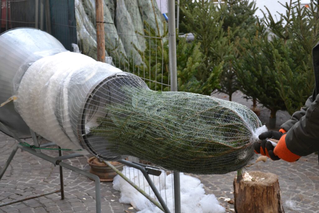 Villacher Christbaummarkt beginnt am 15. Dezember