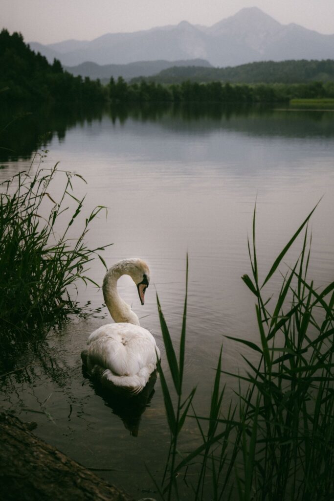 Bernd Grosseck, Slow photography